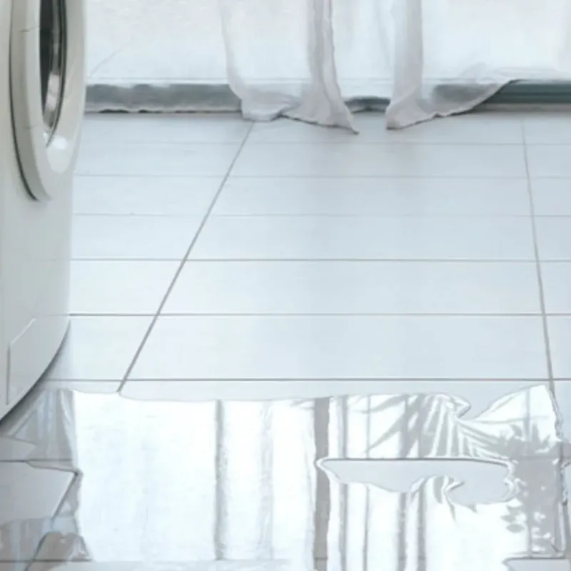 Appliance Leak Cleanup in College Park, MD